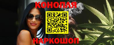 прущие грибы Будённовск