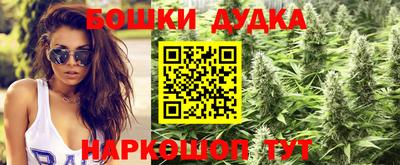 прущие грибы Будённовск