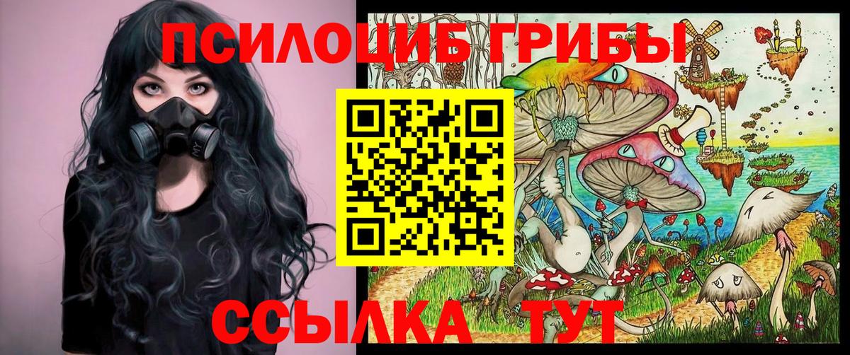 Рузаевка  Псилоцибиновые грибы MAGIC MUSHROOMS  Вход с VPN  Псилоцибиновые грибы Cubensis 