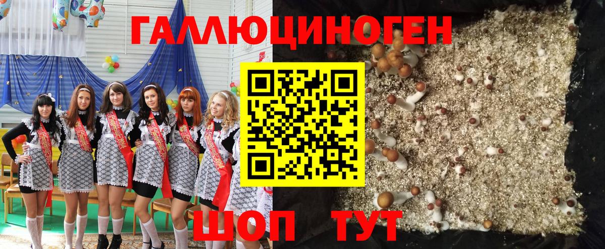 Псилоцибиновые грибы GOLDEN TEACHER Рузаевка